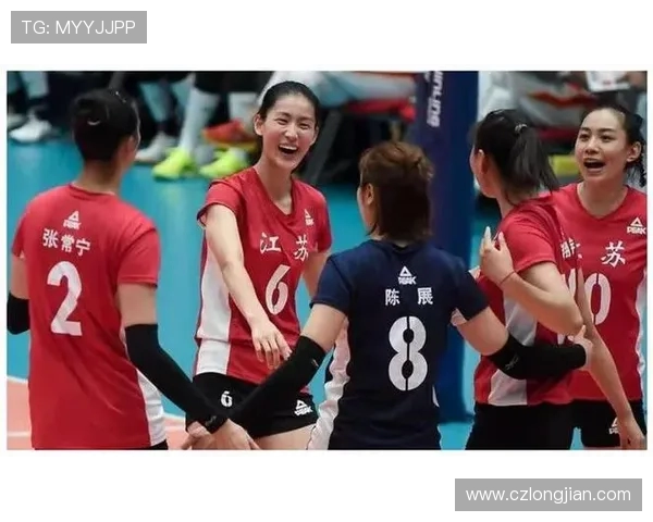 杭州排球队耐力对比深度解析与训练策略探讨